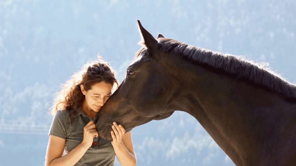 Beziehung zum Pferd verbessern