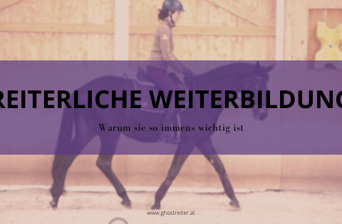 Besser reiten: Reiterliche Weiterbildung