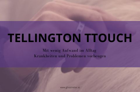 Gesunde Pferde durch Tellington TTouch