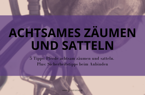 Achtsam Zäumen und Satteln