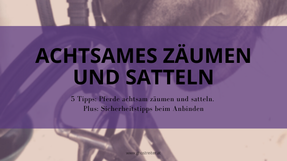 Achtsam Zäumen und Satteln