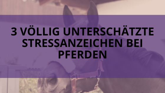 Stressanzeichen bei Pferden