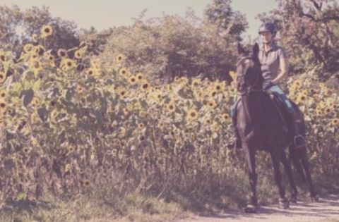 Angst beim Reiten nach Sturz