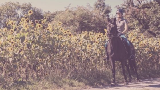 Angst beim Reiten nach Sturz